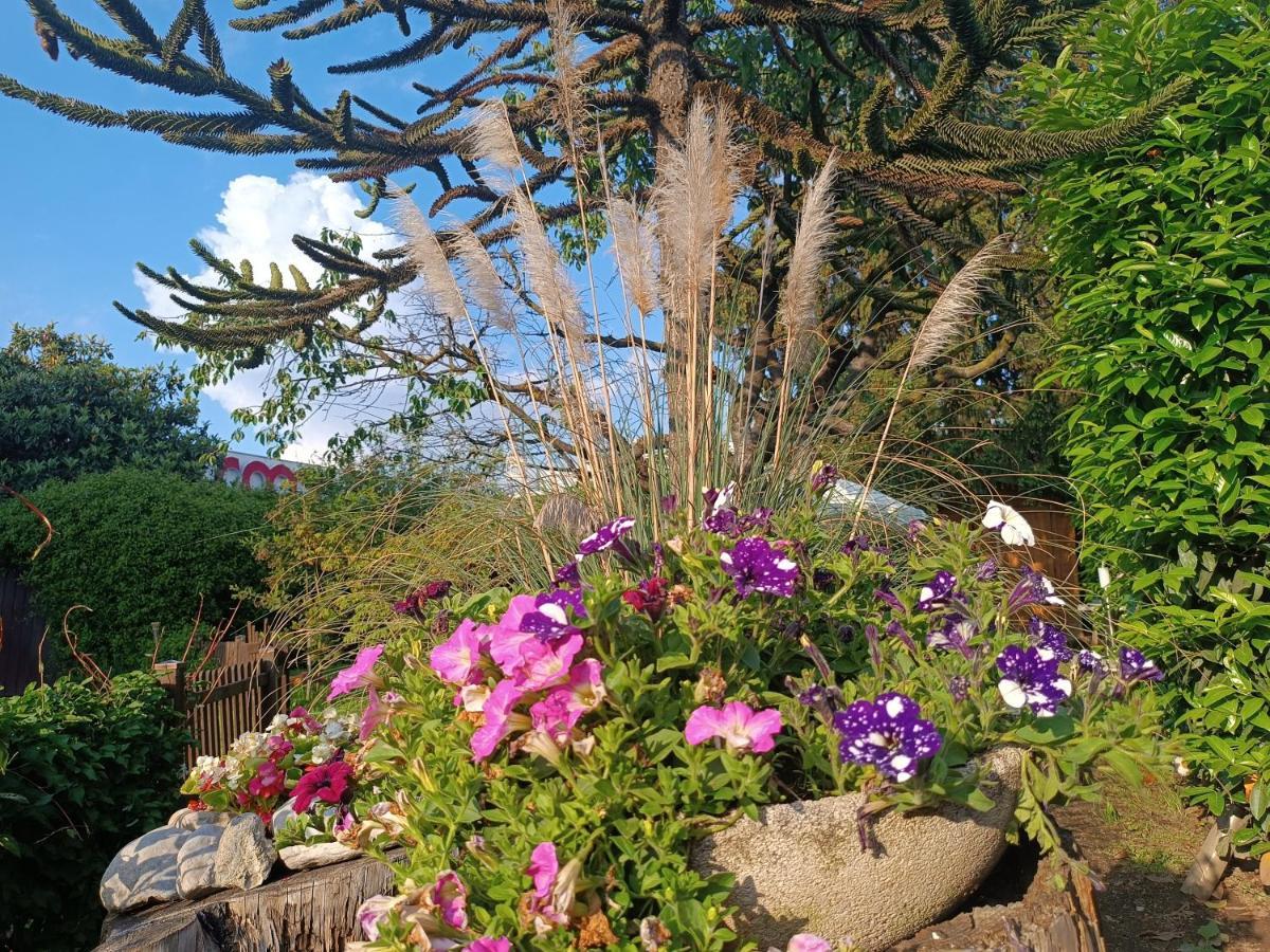 קומו B&B Il Tulipano מראה חיצוני תמונה