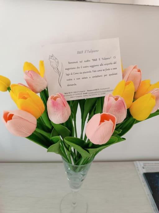 קומו B&B Il Tulipano מראה חיצוני תמונה